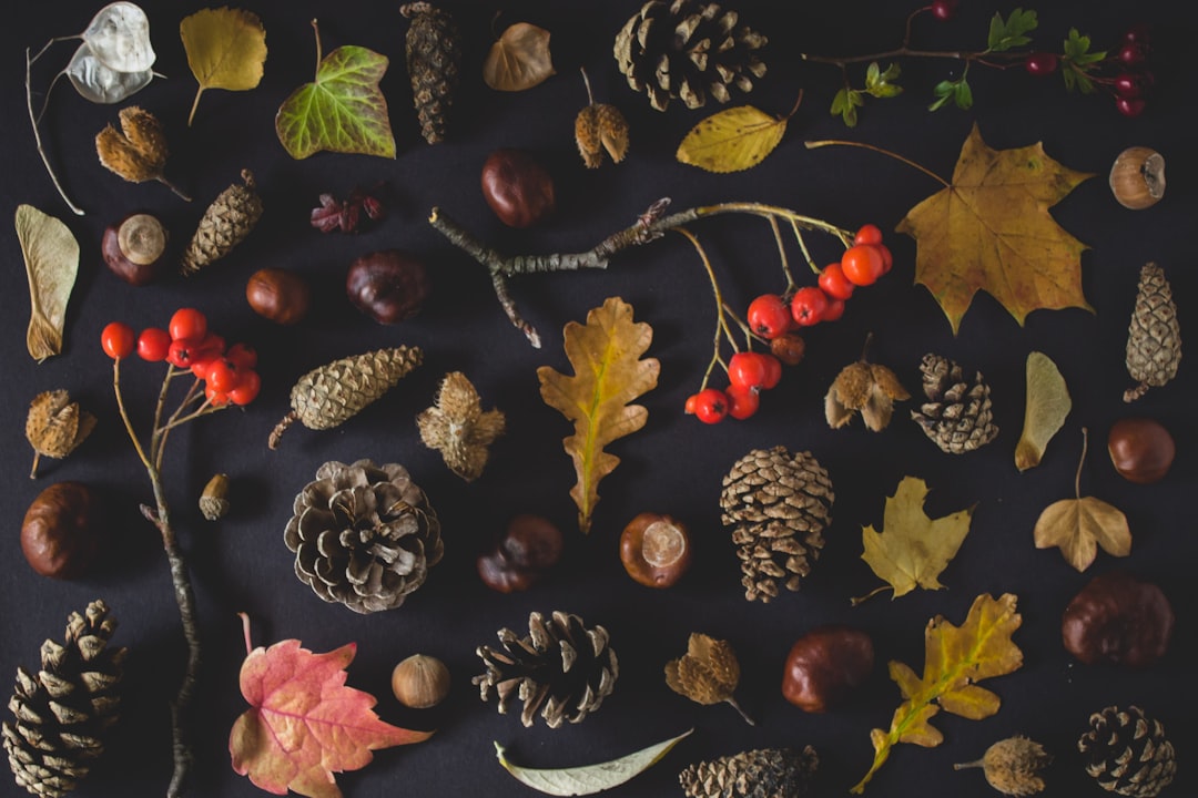 Hergebruik van duurzame materialen: herfstprojecten met een eco-twist